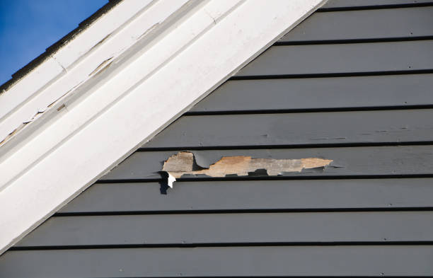 Best Hoarding Cleanup  in Hebron, PA
